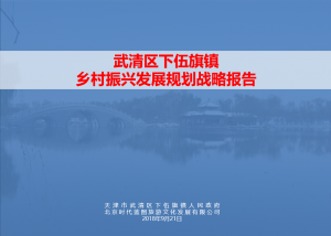 天津市武清區下伍旗鎮產業發展報告
